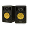 fostex NF04R
