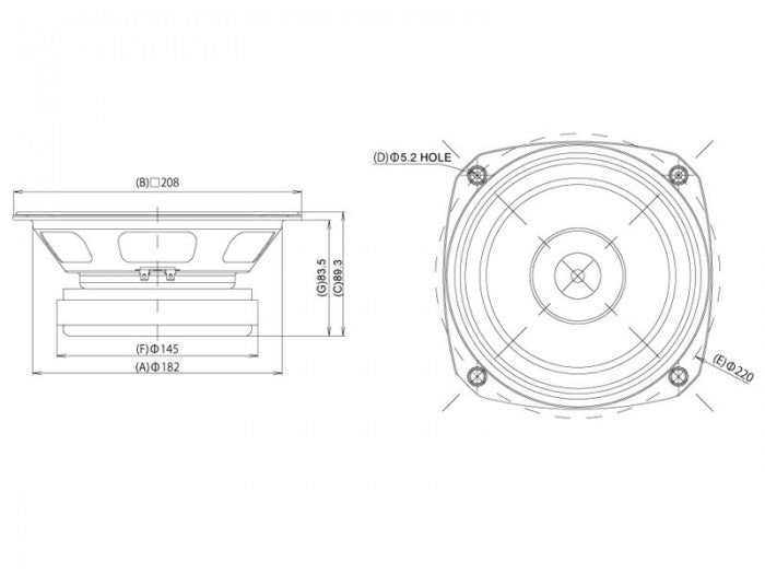 Fostex FE206NV