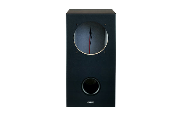 FOSTEX BK165WB2 SPEAKER CABINET